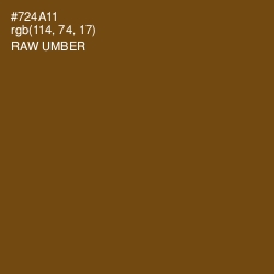 #724A11 - Raw Umber Color Image