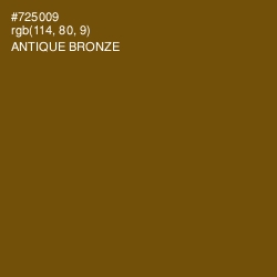 #725009 - Antique Bronze Color Image