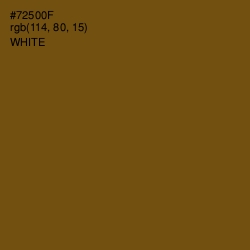 #72500F - Raw Umber Color Image