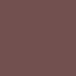 #72504F - Roman Coffee Color Image