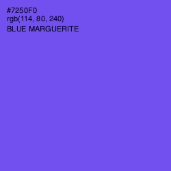 #7250F0 - Blue Marguerite Color Image