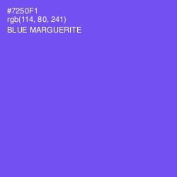 #7250F1 - Blue Marguerite Color Image