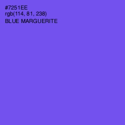 #7251EE - Blue Marguerite Color Image