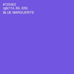 #7256E2 - Blue Marguerite Color Image