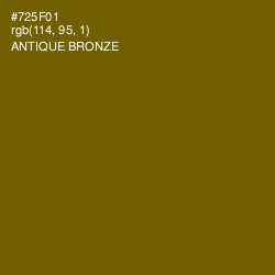 #725F01 - Antique Bronze Color Image