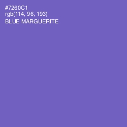 #7260C1 - Blue Marguerite Color Image