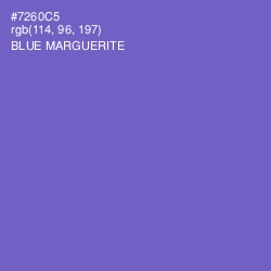 #7260C5 - Blue Marguerite Color Image