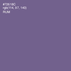 #72618C - Rum Color Image