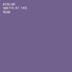 #72618F - Rum Color Image