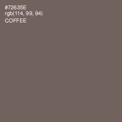 #72635E - Coffee Color Image