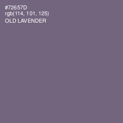 #72657D - Old Lavender Color Image