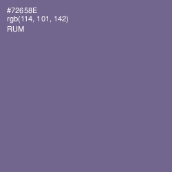 #72658E - Rum Color Image