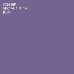 #72658F - Rum Color Image