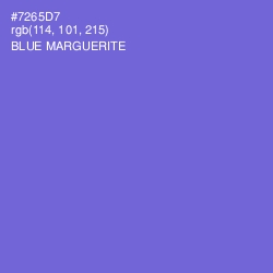 #7265D7 - Blue Marguerite Color Image