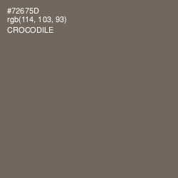 #72675D - Crocodile Color Image