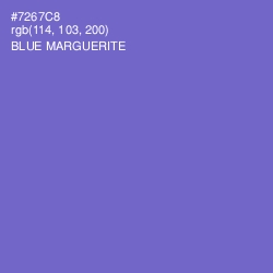 #7267C8 - Blue Marguerite Color Image