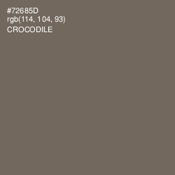 #72685D - Crocodile Color Image