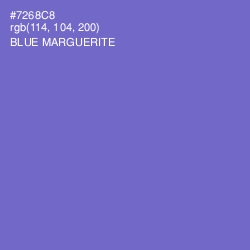 #7268C8 - Blue Marguerite Color Image