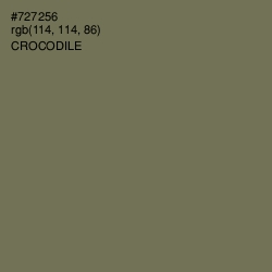 #727256 - Crocodile Color Image