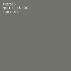 #72736D - Limed Ash Color Image