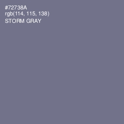 #72738A - Storm Gray Color Image
