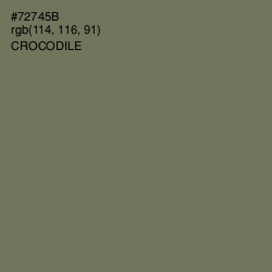 #72745B - Crocodile Color Image