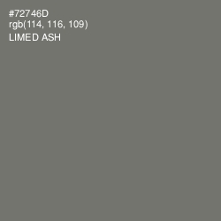 #72746D - Limed Ash Color Image