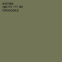 #727556 - Crocodile Color Image