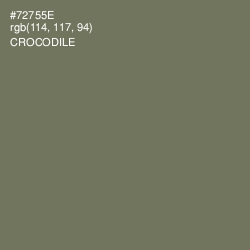 #72755E - Crocodile Color Image