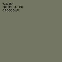 #72755F - Crocodile Color Image