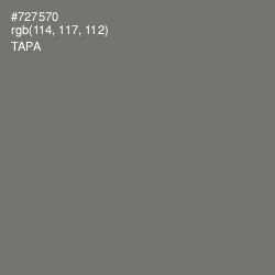 #727570 - Tapa Color Image