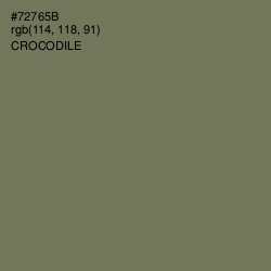 #72765B - Crocodile Color Image