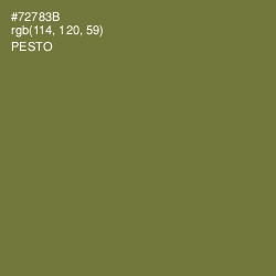 #72783B - Pesto Color Image