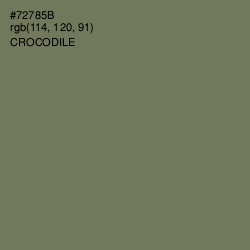 #72785B - Crocodile Color Image