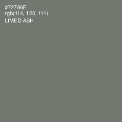 #72786F - Limed Ash Color Image