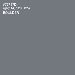 #72787D - Boulder Color Image