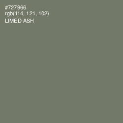 #727966 - Limed Ash Color Image