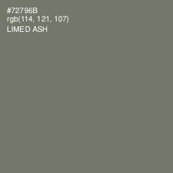 #72796B - Limed Ash Color Image