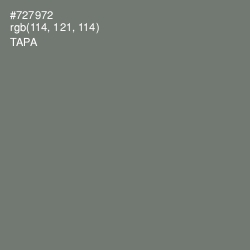 #727972 - Tapa Color Image