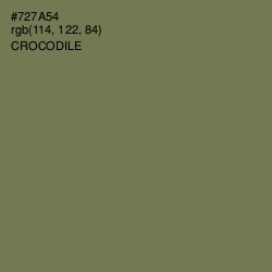 #727A54 - Crocodile Color Image