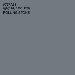 #727A81 - Rolling Stone Color Image