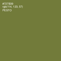 #727B39 - Pesto Color Image