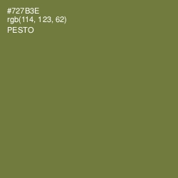 #727B3E - Pesto Color Image