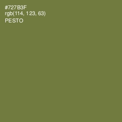 #727B3F - Pesto Color Image