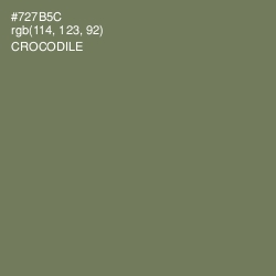 #727B5C - Crocodile Color Image