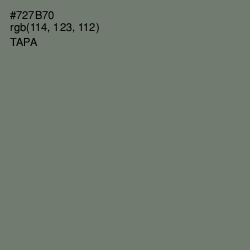 #727B70 - Tapa Color Image