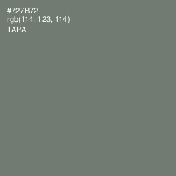 #727B72 - Tapa Color Image