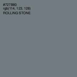 #727B80 - Rolling Stone Color Image