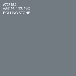 #727B82 - Rolling Stone Color Image