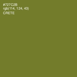 #727C2B - Crete Color Image